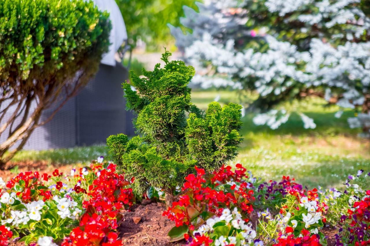 Appartement Garden Paradise App Sveti Vid-Miholjice